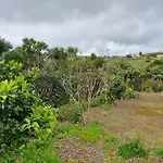 Retiro Camelias 3 게스트하우스