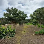 게스트하우스 Retiro Camelias 3