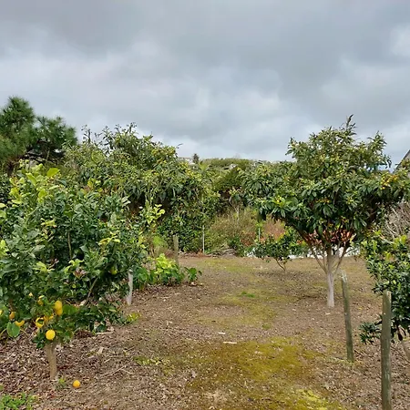 Retiro Camelias 3 ゲストハウス 3*