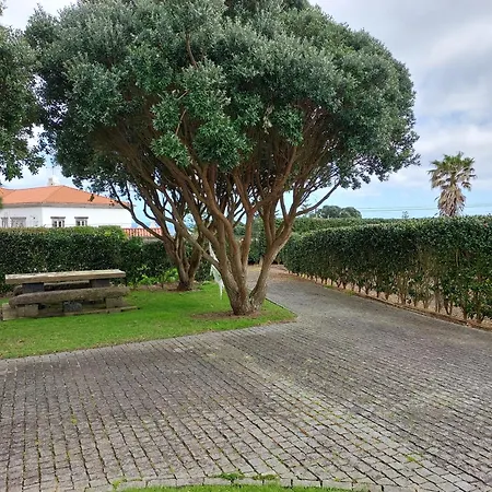 ゲストハウス Retiro Camelias 3