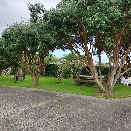 Retiro Camelias 3 3*