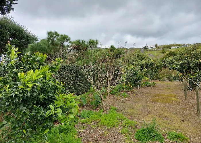 Retiro Camelias 3 Guest house