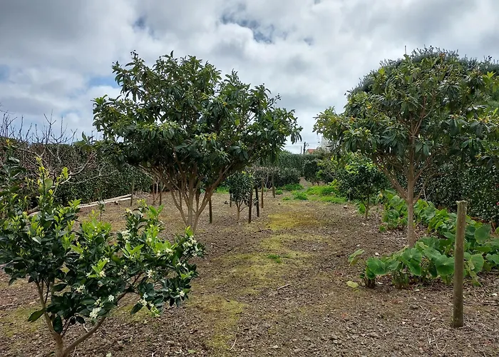 Guest house Retiro Camelias 3