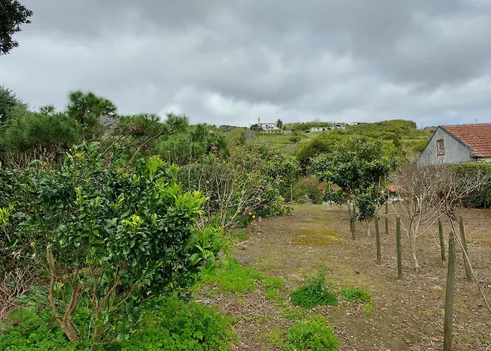Retiro Camelias 3 Lajes das Flores